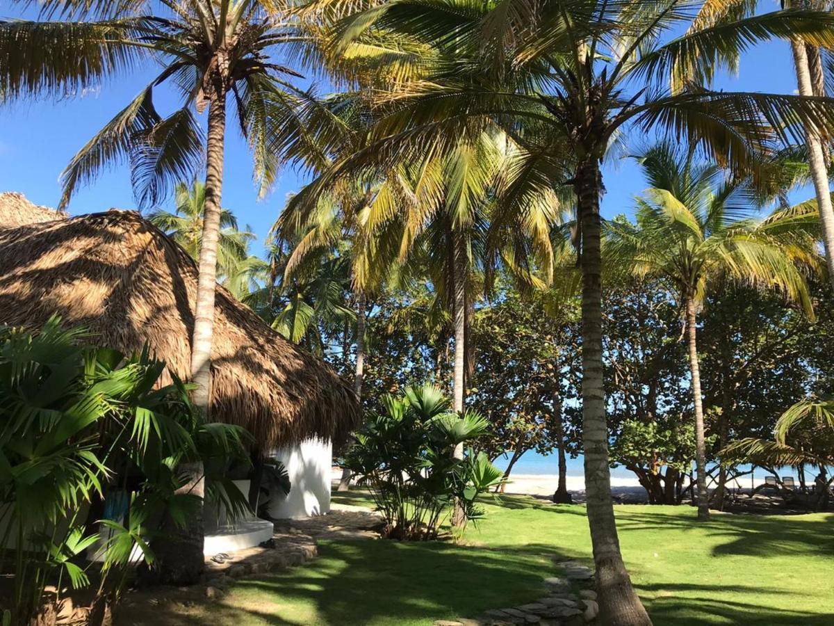 Hotel Casalina Palomino Ngoại thất bức ảnh
