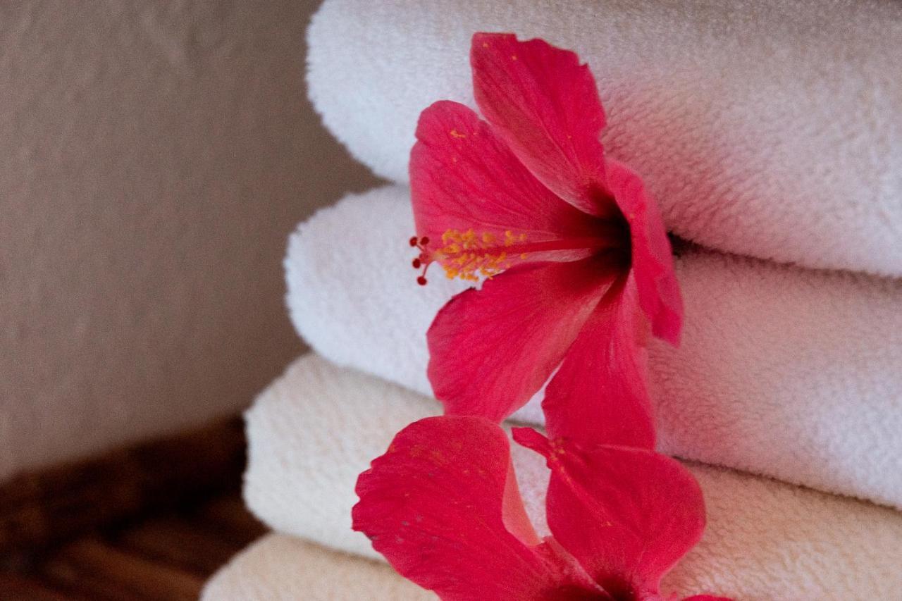 Hotel Casalina Palomino Ngoại thất bức ảnh